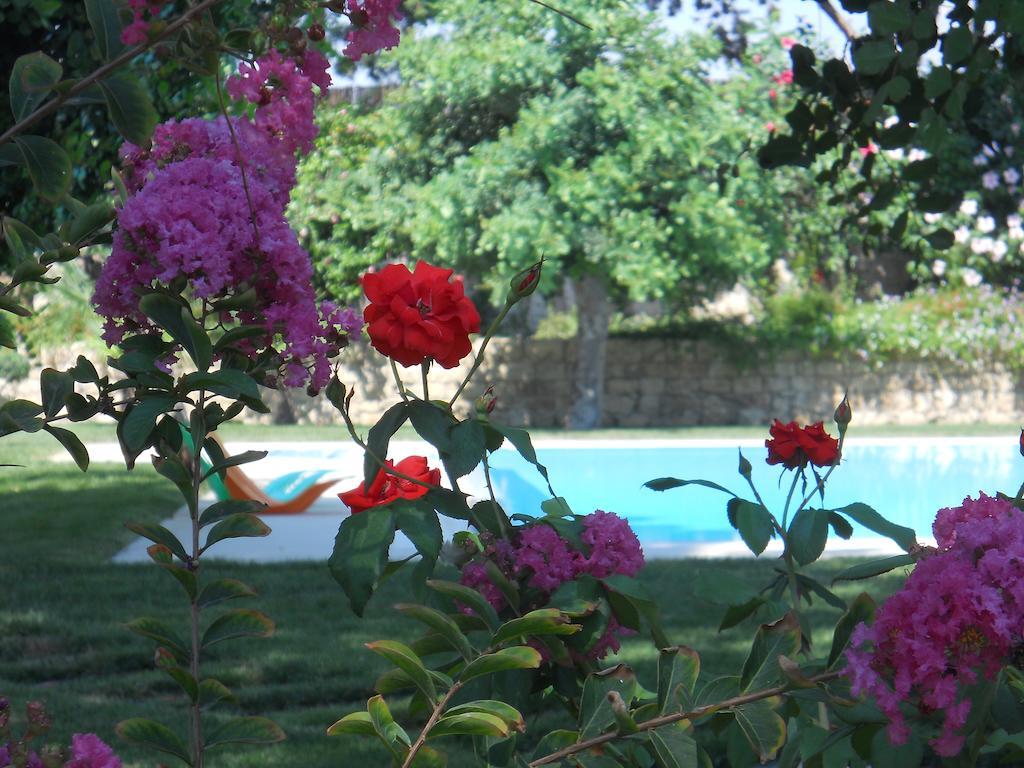 Il Giardino Dei Carrubi Donnalucata (Sicily) Quarto foto