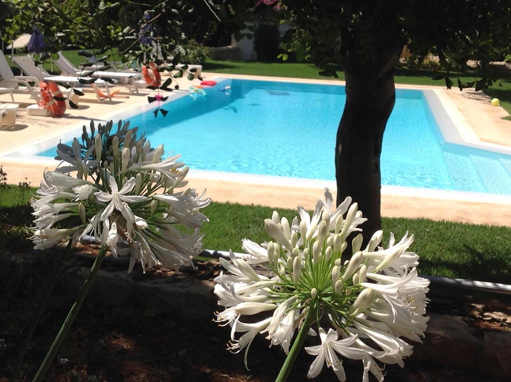 Il Giardino Dei Carrubi Donnalucata (Sicily) Exterior foto